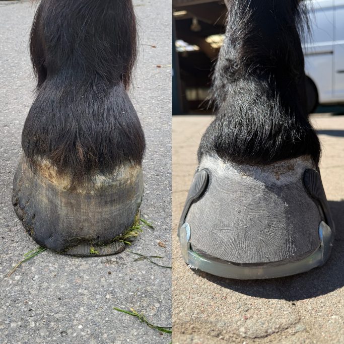 mediolaterale Imbalance