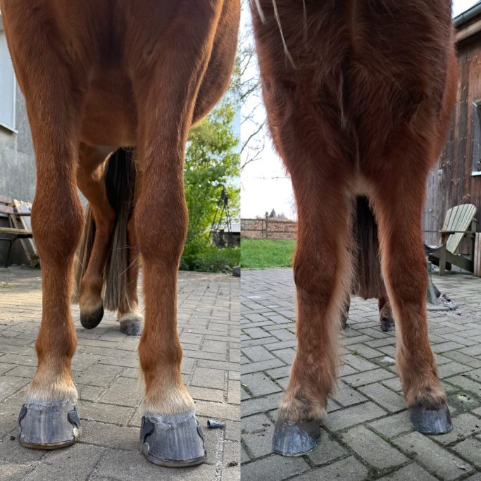 zehenweit, bodeneng, Isländer, Fehlstellung