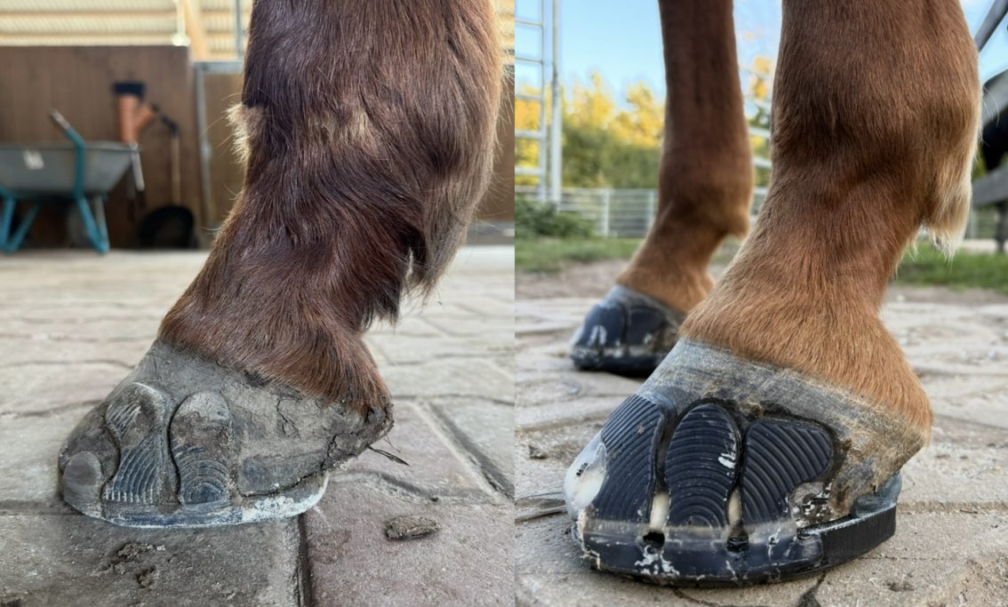 untergeschobene Trachten Quarter