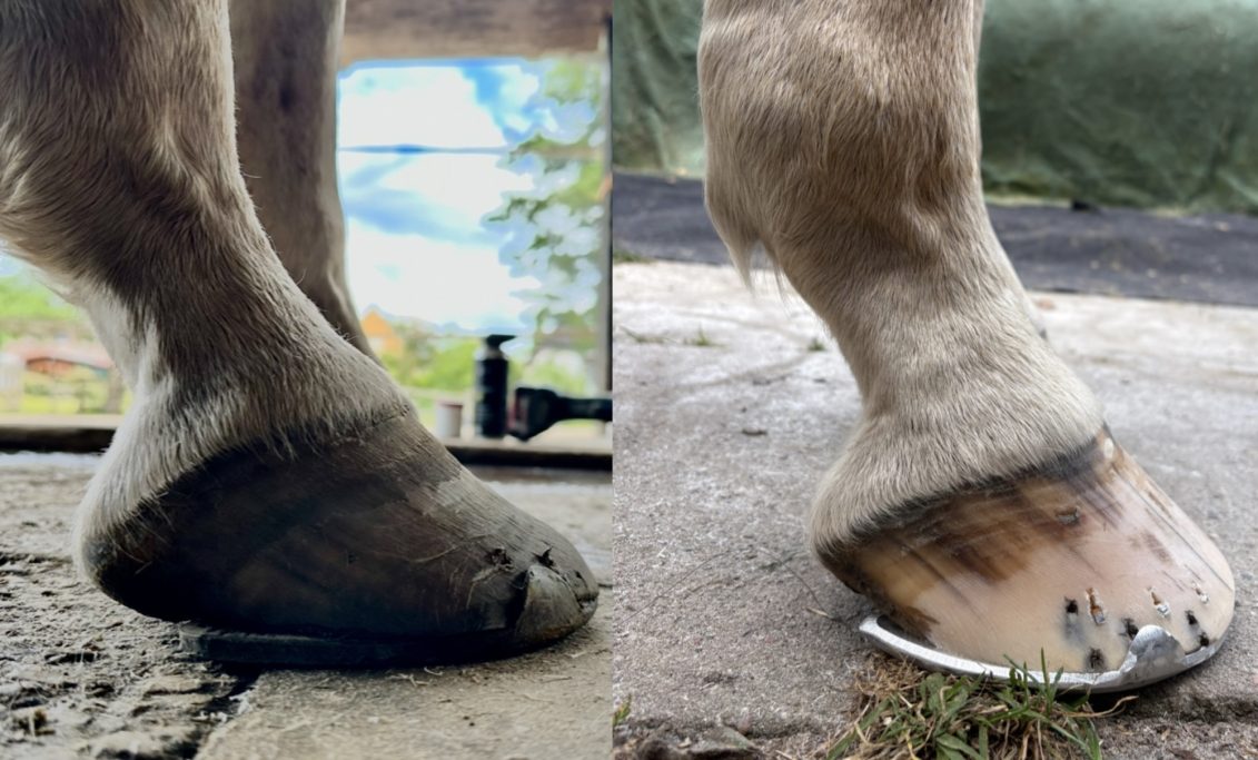 untergeschobene Trachten, Alubeschlag, getauchter Kronsaum