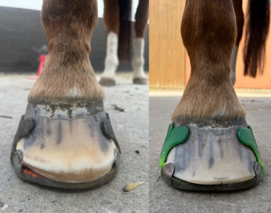 Hufrehe, Klebebeschlag