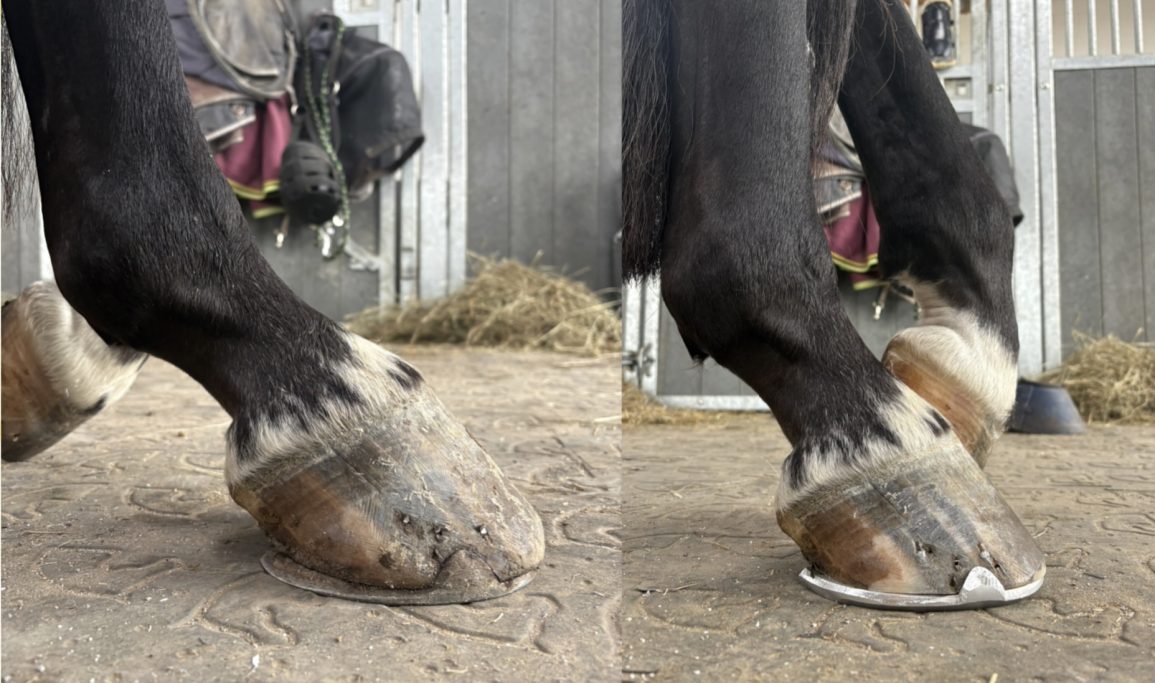 Aluminiumbeschlag Hinterhuf