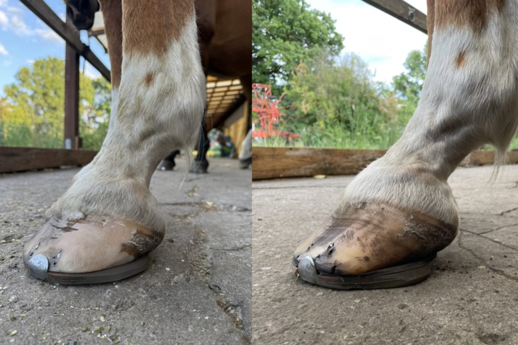 untergschobene Trachten